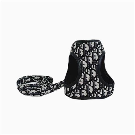 dior dog leash|dior carrier.